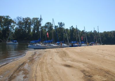 2010 Chattahoochee Coup Too