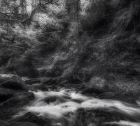 78786066 10222141545156405 n