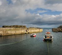  tm81099 edit recovered