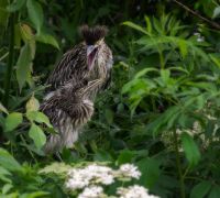  tm28965 enhanced nr edit