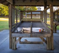 20241118 z8 camp seagull 20241118 z8 camp seagull