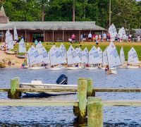 20241118 z8 camp seagull 20241118 z8 camp seagull