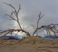 20230228 z7ii deathvalley 189 dxo 20230228 z7ii deathvalley dxo openwith nik18 20230228 z7ii deathvalley 189 dxo 20230228 z7ii deathvalley dxo openwith nik18