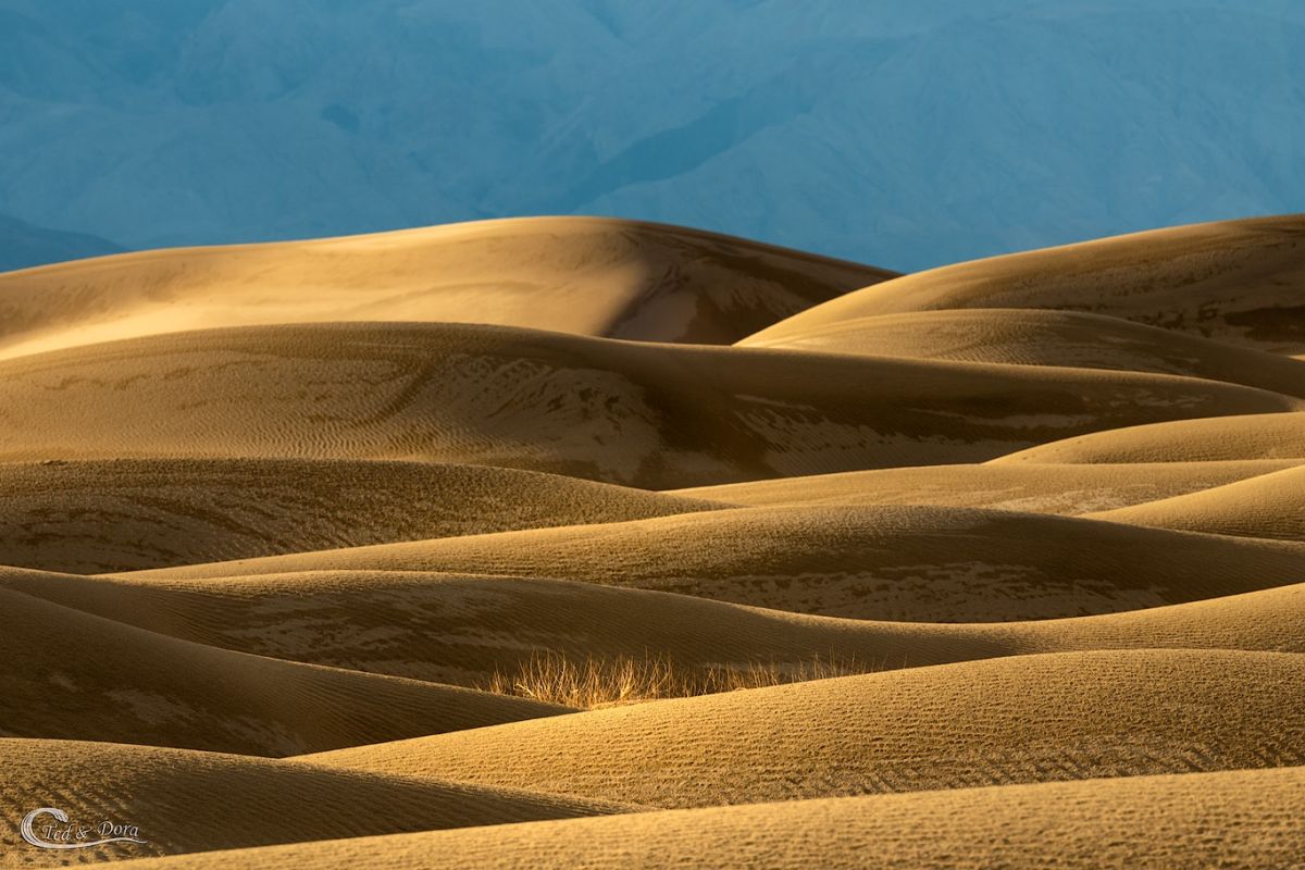 Death Valley