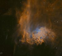 flaming star