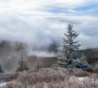 20220220 z7ii boone sharpened