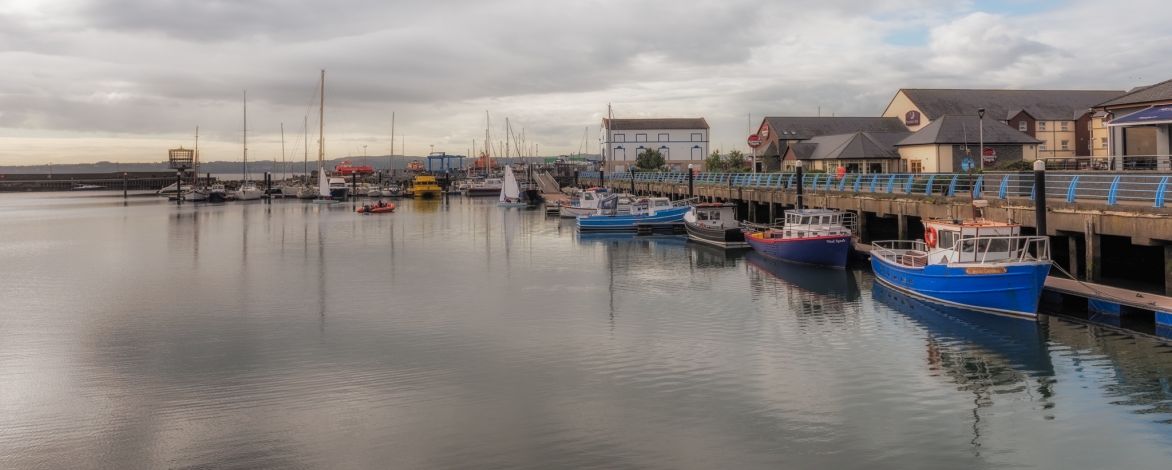 tm80768 edit  tm80768 edit