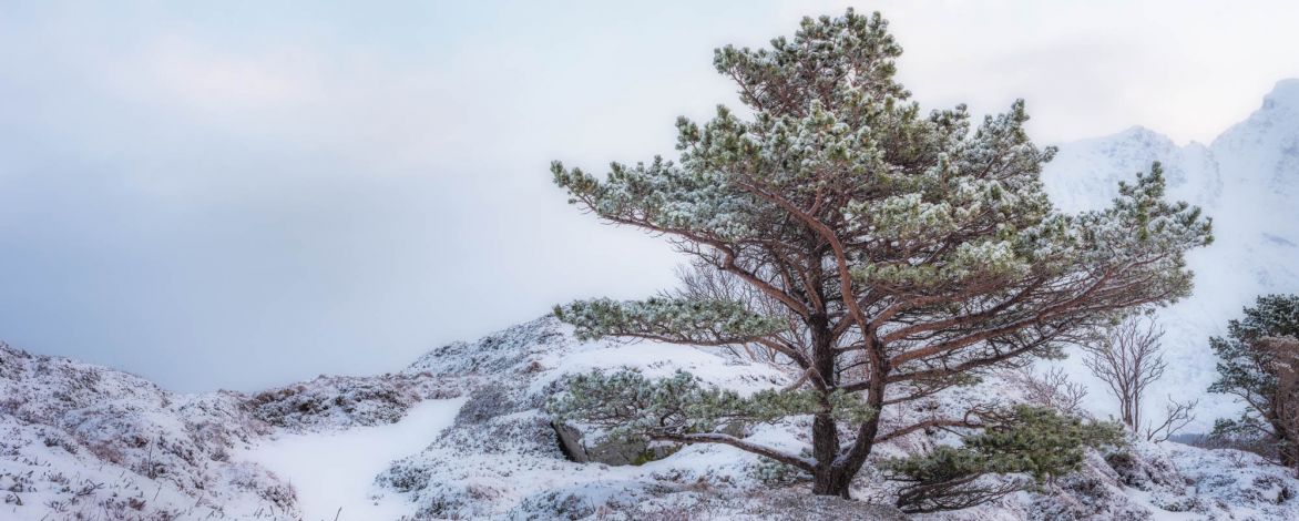 tm82839 edit  tm82839 edit