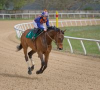 20230318 z7ii aiken trials