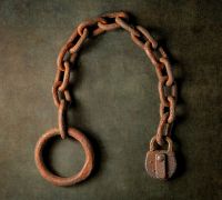 20250111 z8 stilllife chain openwith4