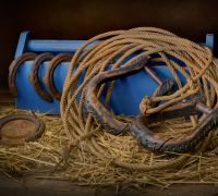 stirrups lariet stirrups lariet