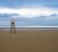 20250917 seaside 84376 edit sharpened