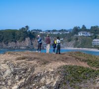 20250923 chetco state park