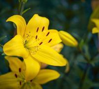  tm29002 enhanced nr edit