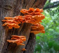 20230917 z7ii hiltonhead sharpened