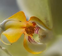 2024 07 07 17 26  b r8 s4  edit edit