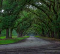 20230917 z7ii hiltonhead edit sharpened