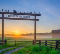 gold grass farms