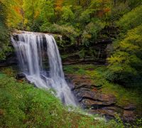 20221006 z7ii brevard openwith openwith