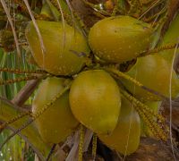 20251130 grandturk edit