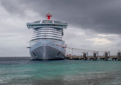 Virgin Voyages Cruise